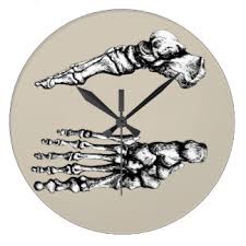 bones clock